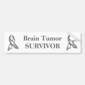 Grey Ribbon Survivor Bumper Sticker