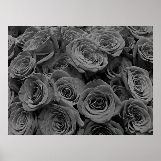 Grey roses, grey floral photo  l poster (Front)