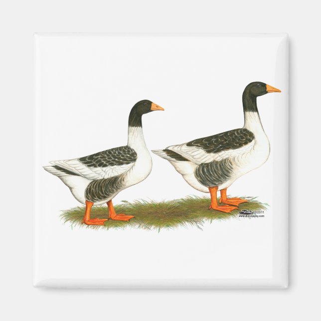Grey Saddleback Geese Magnet (Front)