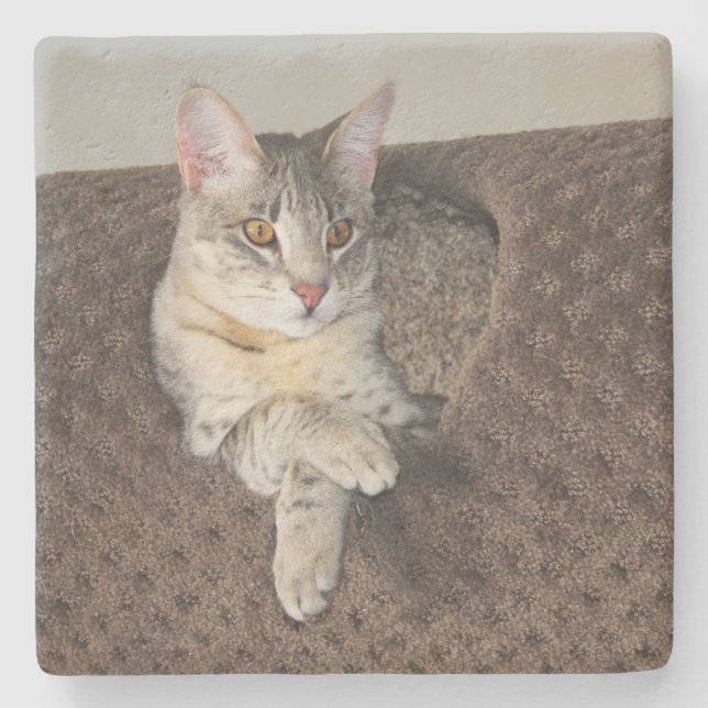 Grey Savannah Cat Square Coaster (Front)