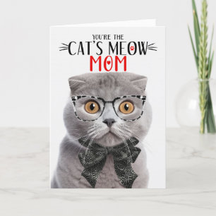 Grey Scottish Fold Cat for Mum on Mother's Day Holiday Card