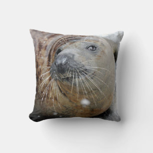 Grey Seal on Ice Cushion