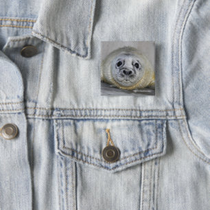 Grey Seal Pup 15 Cm Square Badge