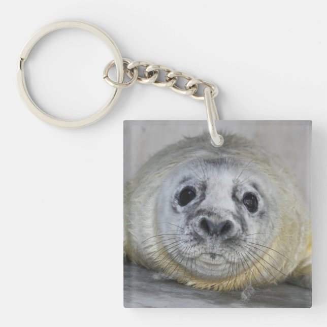 Grey Seal Pup Key Ring (Front)