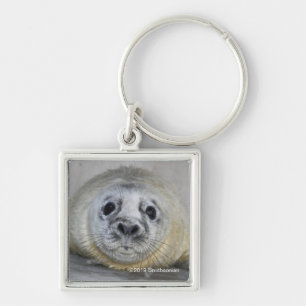 Grey Seal Pup Key Ring