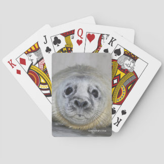 Grey Seal Pup Playing Cards