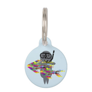 Grey Seal Thunder_Cove Pet Tag