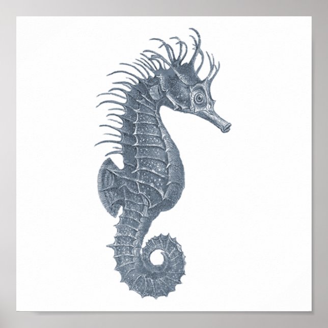 Grey Sealife group 12A print #5 Sea horse (Front)