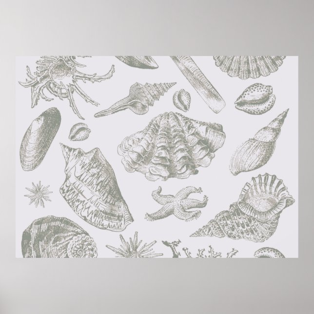 Grey Seashell Art Print Pattern Beachy (Front)
