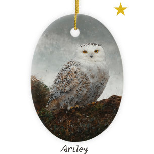 Grey Snowy Owl Bird Painting Year Christmas Ceramic Tree Decoration