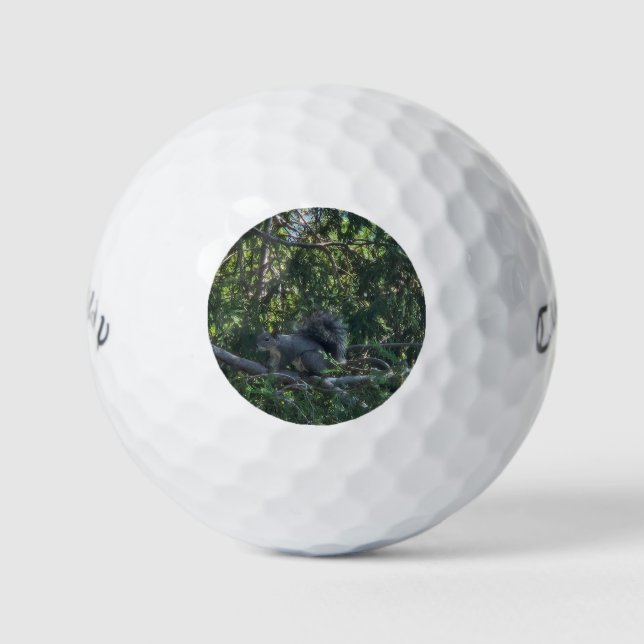 Grey Sqirrel Golf Balls (Front)