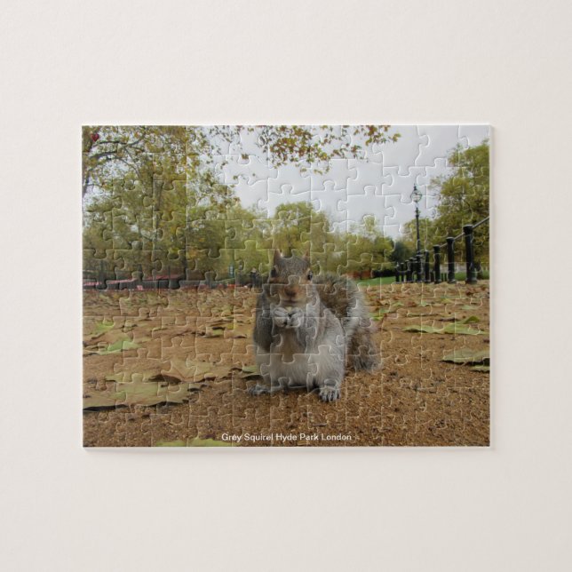 Grey Squirel Hyde Park London Jigsaw Puzzle (Horizontal)