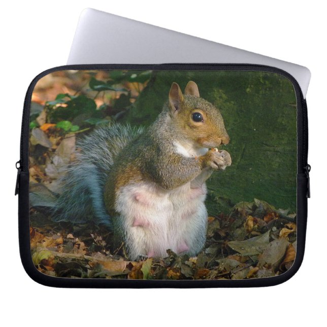 Grey Squirrel 02 Laptop Sleeve (Front)