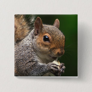 Grey Squirrel 15 Cm Square Badge