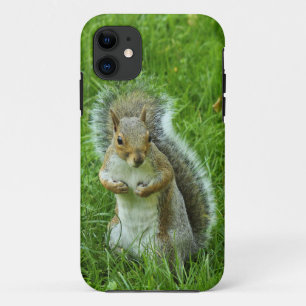 Grey Squirrel, Bute Park, Cardiff iPhone 11 Case