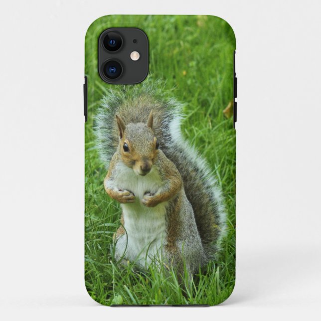 Grey Squirrel, Bute Park, Cardiff Case-Mate iPhone Case (Back)