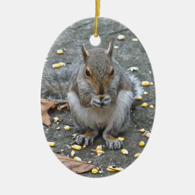 Grey Squirrel Christmas Series Ceramic Tree Decoration (Front)