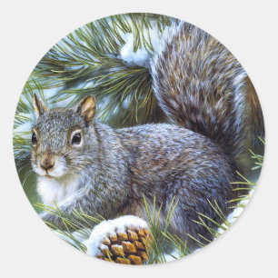 Grey Squirrel Classic Round Sticker