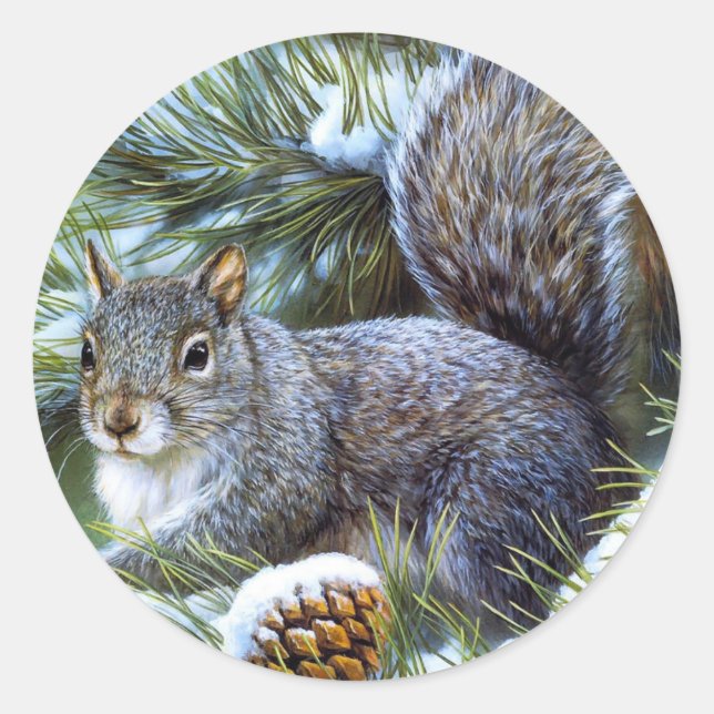 Grey Squirrel Classic Round Sticker (Front)