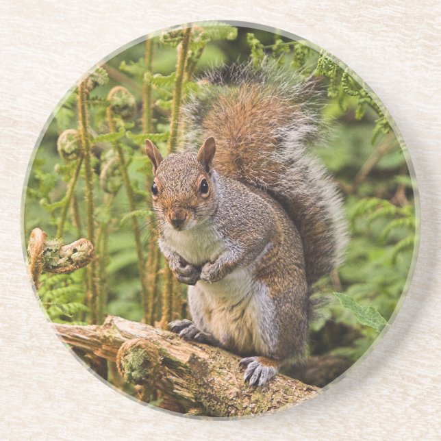 Grey Squirrel Coaster (Front)