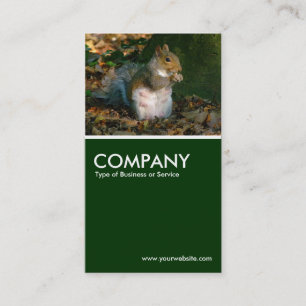 Grey Squirrel - Dark Green Business Card