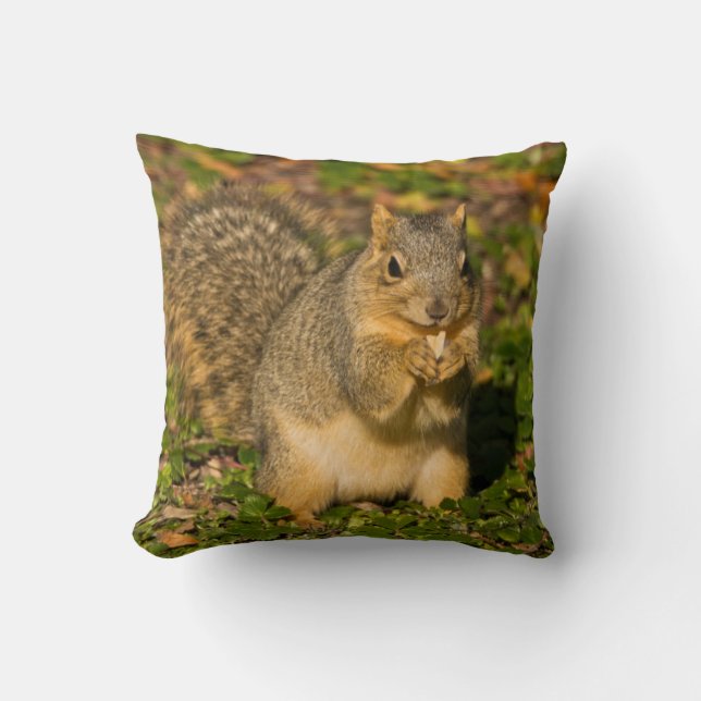 Grey Squirrel, eating, peanut, Crystal Springs Cushion (Front)