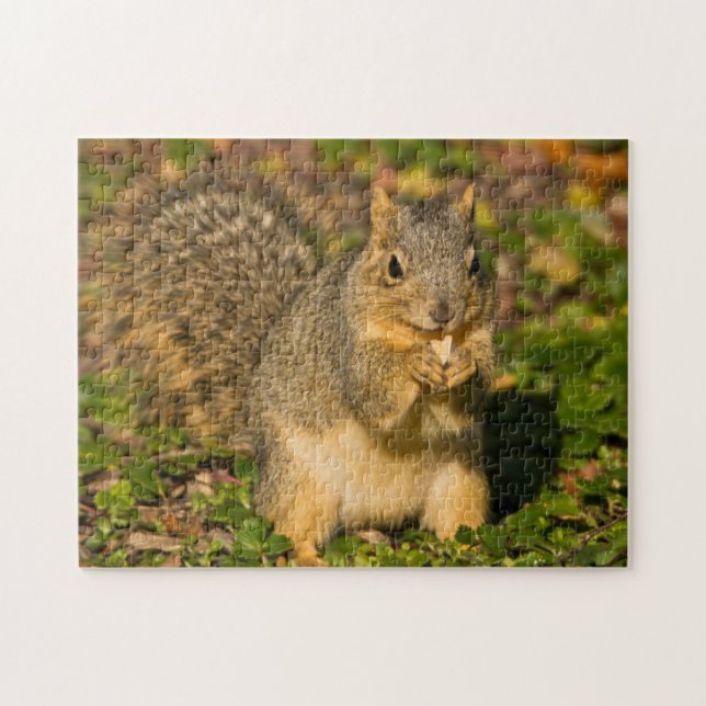 Grey Squirrel, eating, peanut, Crystal Springs Jigsaw Puzzle (Horizontal)