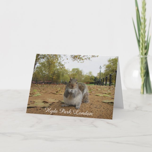 Grey Squirrel Hyde Park London. Card (Front)
