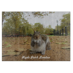 Grey Squirrel Hyde Park London. Cutting Board