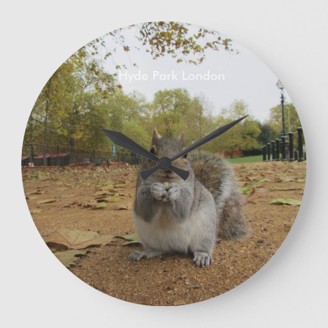 Grey Squirrel Hyde Park London. Large Clock (Front)