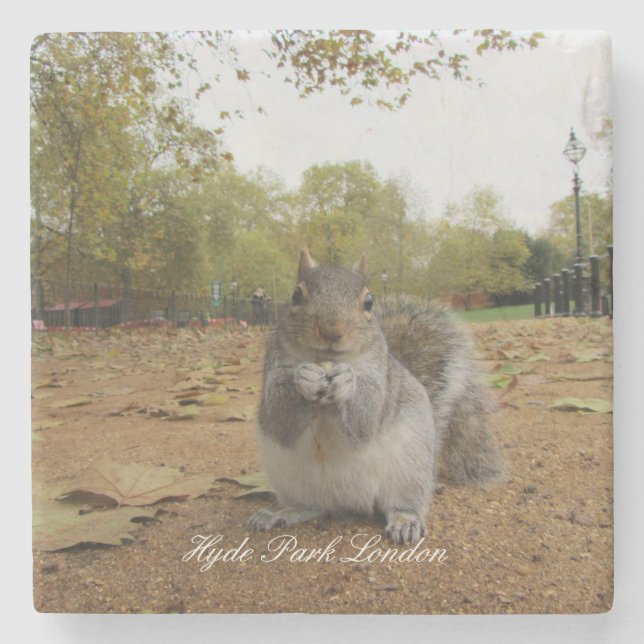 Grey Squirrel Hyde Park London. Stone Coaster (Front)