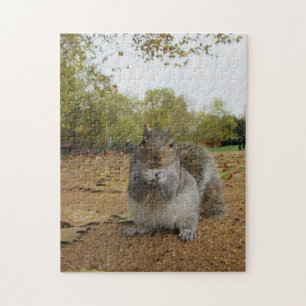 Grey Squirrel in Hyde Park Jigsaw Puzzle