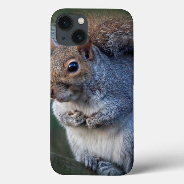 Grey Squirrel iPad Case (Back)