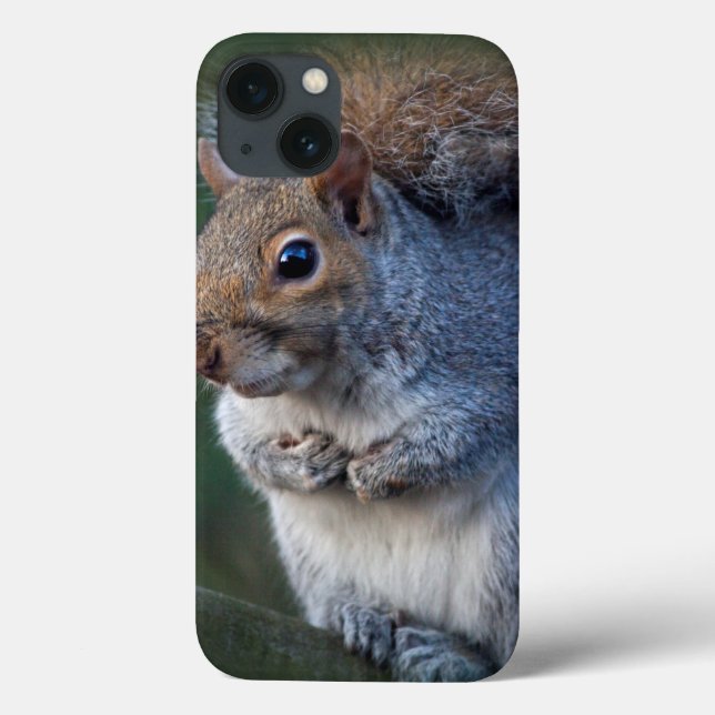 Grey Squirrel iPad Mini Case (Back)
