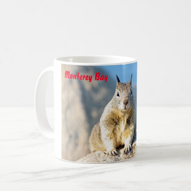 Grey squirrel, Monterey Bay, California Coffee Mug (Front Left)