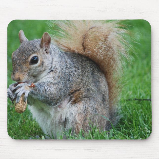 Grey Squirrel  Mouse Pad (Front)
