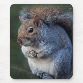 Grey Squirrel Mousemat