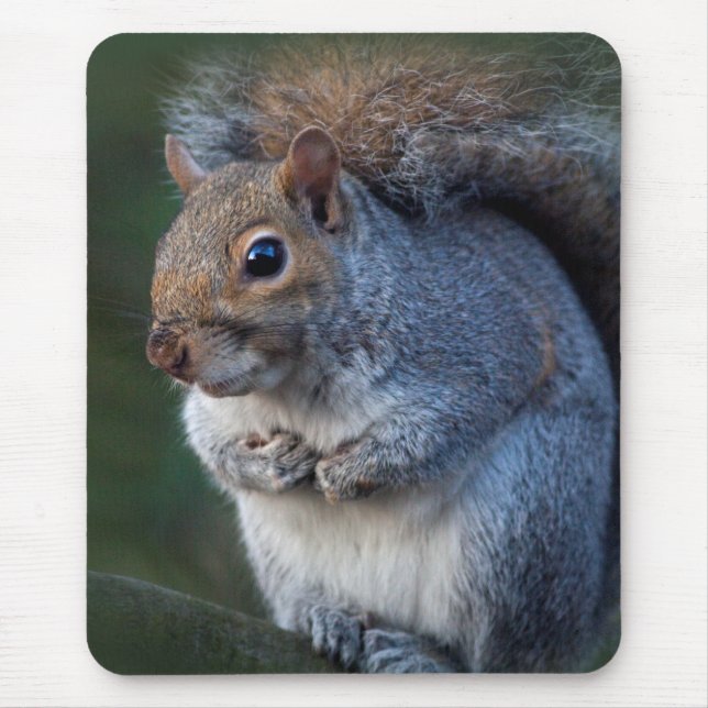 Grey Squirrel Mousemat (Front)