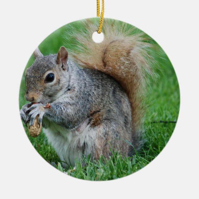 Grey Squirrel Ornament (Front)