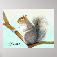 Grey Squirrel Pencil Drawing Artwork Poster