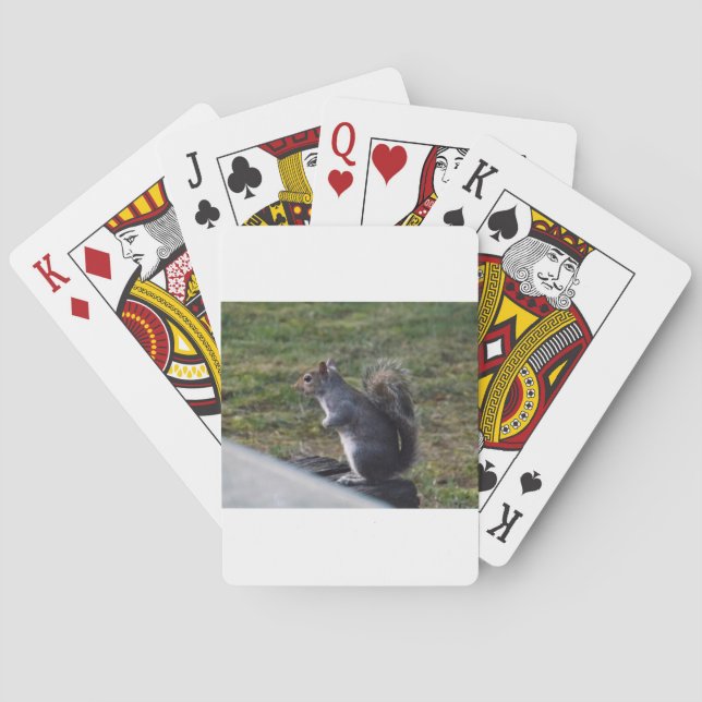 Grey Squirrel Playing Cards (Back)