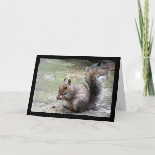 Grey Squirrel Portrait Card