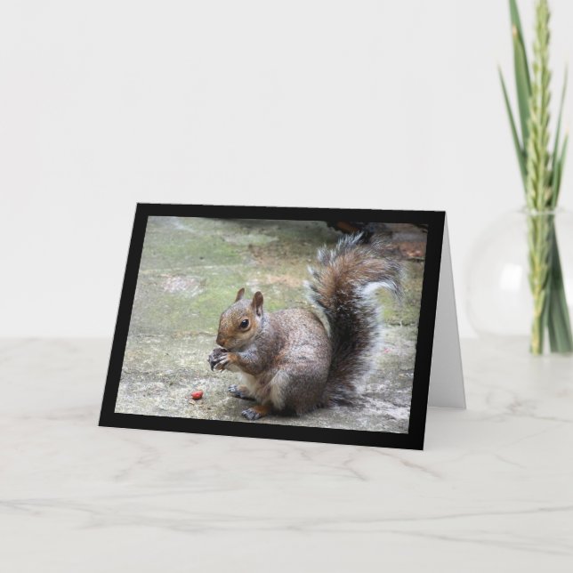 Grey Squirrel Portrait Card (Front)