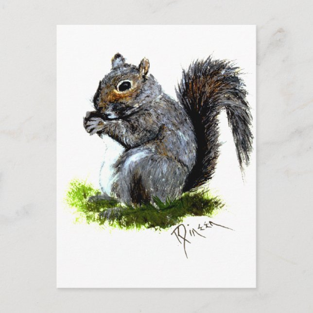 Grey Squirrel Postcard (Front)