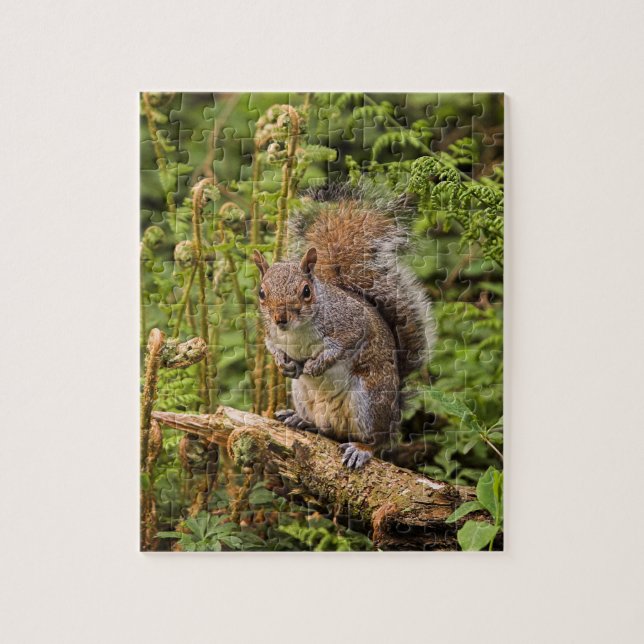 Grey Squirrel Puzzle/Jigsaw with Tin Jigsaw Puzzle (Vertical)
