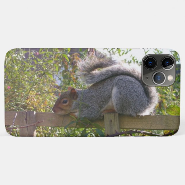 grey squirrel resting original wildlife photo Case-Mate iPhone case (Back (Horizontal))