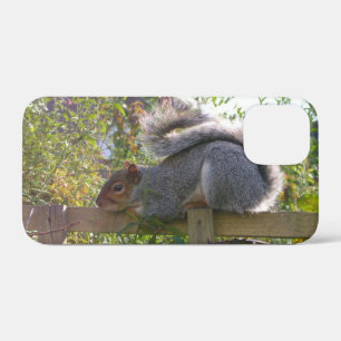 grey squirrel resting original wildlife photo iPhone 12 mini case