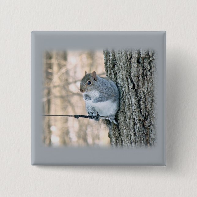 Grey Squirrel - Sciurus carolinensis 15 Cm Square Badge (Front)