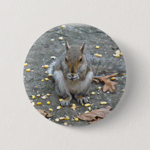 Grey Squirrel Series 6 Cm Round Badge