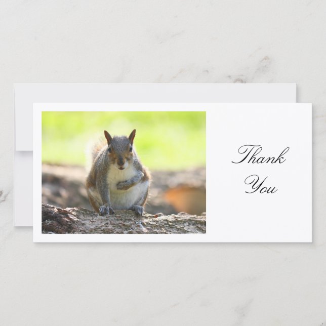Grey Squirrel - Thank You (Front)